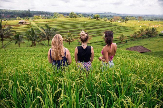 Private Bali Tour: The Most Scenic Places - Wanagiri Hidden Hills: Bird-Nest Views and Swing Photos Over The Lake