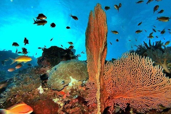 Private boat trip Komodo 2 or more person for 3 days 2 nights, Kelor, Rinca... - Who This Private Komodo Cruise Is Best For