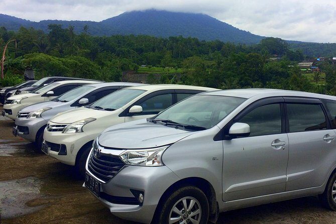 Private Car Charter - Explore Best of Bali - The driver role: it’s more than just transportation