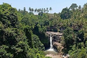 Private Car Charter: Hire Car with English Speaking Driver - Building your own Bali day: how to plan when you choose the stops