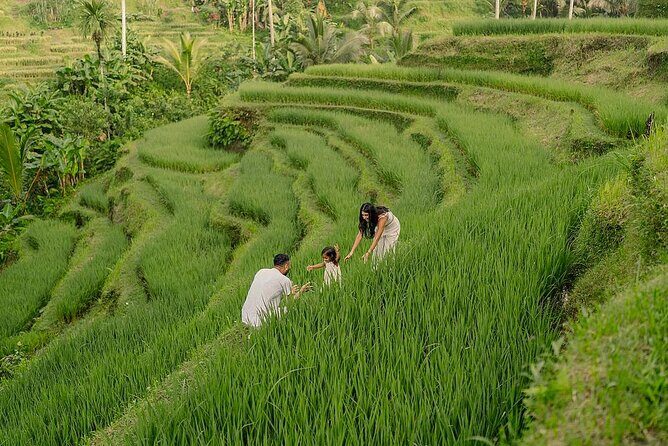 Private Customize Ubud Day Tour With Experienced Driver - Key highlights at a glance