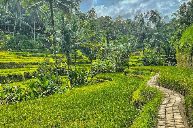Private Customize Ubud Day Tour With Experienced Driver - Building your day around Ubud’s monkey forest, palace, and art market