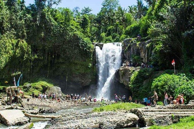 Private Day Tour: The Highlight of Ubud - Pickup to drop-off: the real secret is avoiding Ubud time-wasters