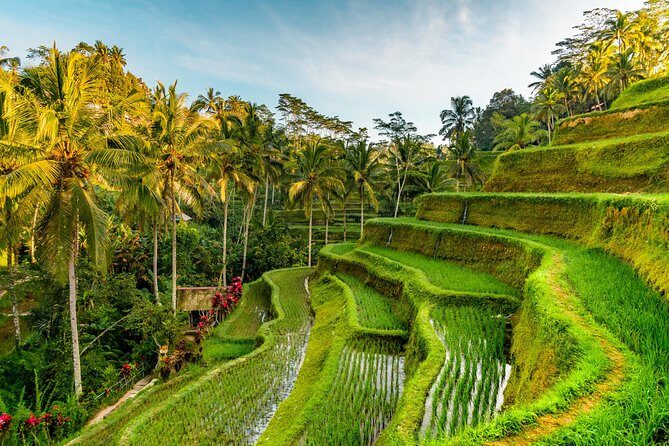 Private Day Tour: The Highlight of Ubud - Tegenungan Waterfall: a quick green reset