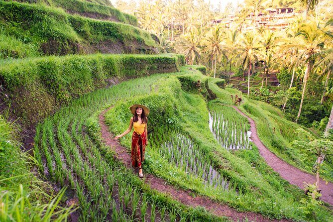 Private Day Tour: The Highlight of Ubud - Sacred Monkey Forest Sanctuary: temples, trees, and long-tailed macaques