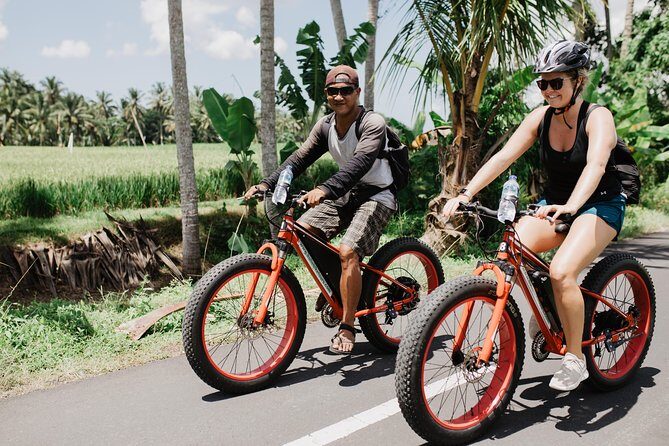 Private Fat Tire E-Bike Tour in Ubud - Price and Value: Why $75 Can Work for a 3–4 Hour Day