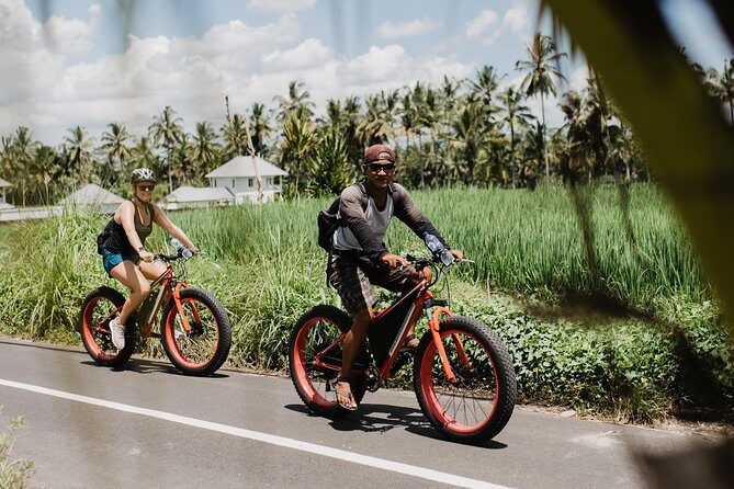 Private Fat Tire E-Bike Tour in Ubud - Stop at Tegalalang Rice Terrace: A Fast Photo Moment Done Right