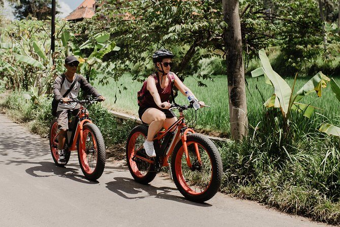 Private Fat Tire E-Bike Tour in Ubud - Guides Matter: Wayan’s Attentive Pace and Traffic Awareness