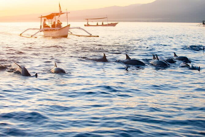 Private Full - Day Nusa Penida Island Tour - Kelingking Beach: the famous curve, timed for real viewing