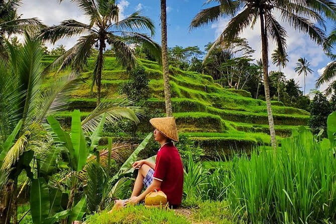 Private Full - Day Nusa Penida Island Tour - Price and value: what $89 covers (and what it doesn’t)