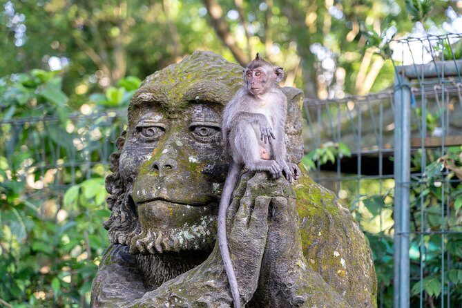 Private Full-Day Tour: Balinese Temples and Rice Terraces - D Alas Warung lunch: jungle views with a real meal