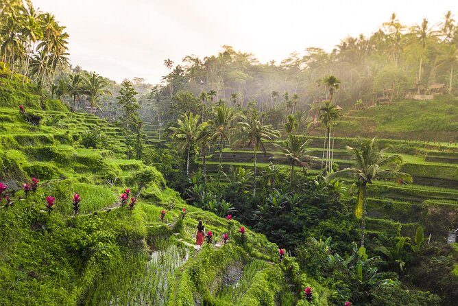Private Full-Day Tour: Balinese Temples and Rice Terraces - What to wear and pack for temples and macaques