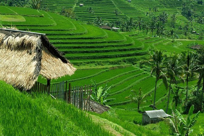 Private Jatiluwih Rice Terraces Heritage Site and Culture Tour - Pickup and timing: how to make the day feel easy