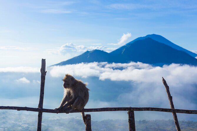 Private Mount Batur Sunrise Trekking Tour - Breakfast cooked on volcanic steam: why this is more than a snack