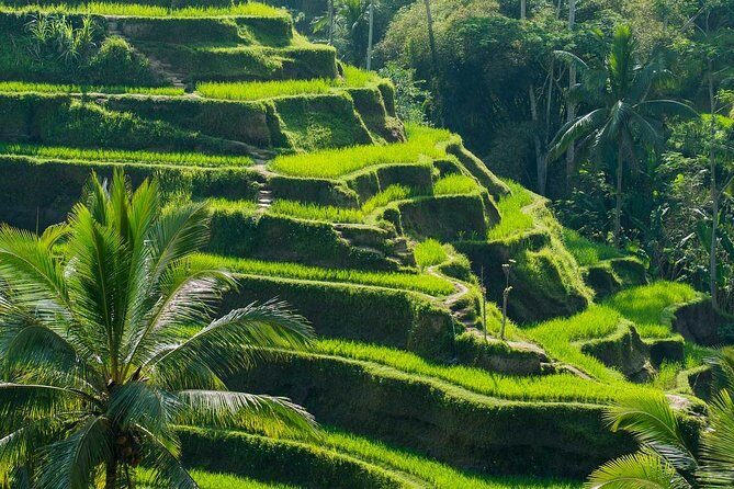 Private Shore Excursion: Customized Best of Bali Tour - A private Bali day that actually fits your schedule