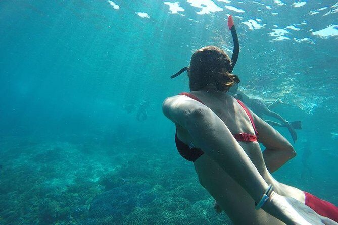 Private Snorkeling Gili Island (Coral, Statue and Turtle) - Stop 3: Turtle Point and the sea turtle gamble