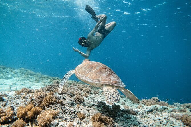 Private Snorkeling Gili Island Including GoPro Camera - Private Snorkeling on Gili Trawangan: Why This Feels Less Like a Tour