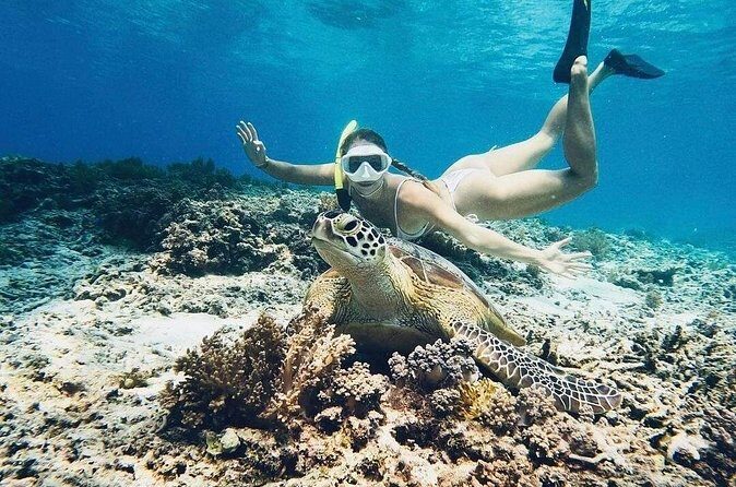Private Snorkeling Start Gili Meno and Explore 4 Spots with GoPro - Stop 2: The Romantic Statues and Why the Art Feels Like a Fish Magnet
