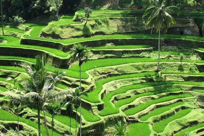 Private Tour: Bali in a Day - A Private Bali Day That Lets You Set the Pace