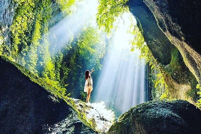 Private Tour: Bali in a Day - Price and Logistics: What $50 Buys You in a Private Setting