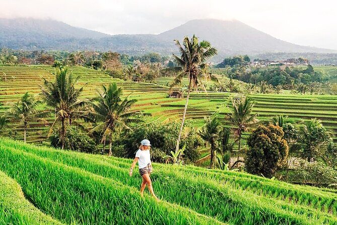 Private Tour: Bali UNESCO World Heritage Sites - Ulun Danu Bratan Temple: a water temple with quiet lake presence