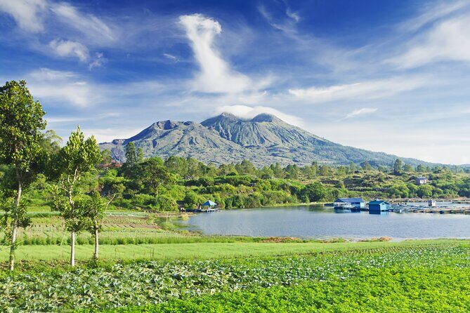 Private Tour: Bali Volcano with Jungle Swing Experience - A private Ubud volcano day that stays light on logistics