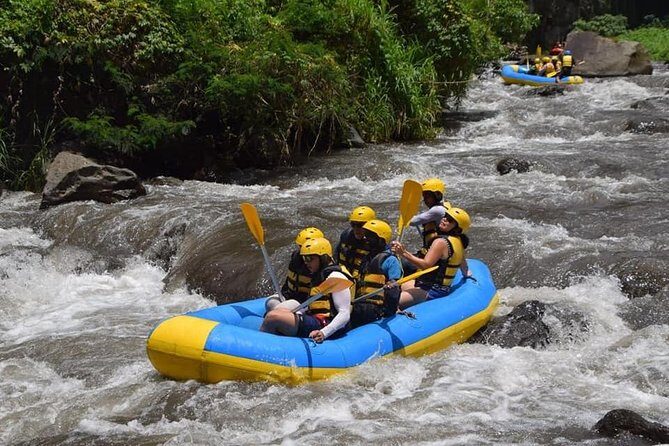 Private Tour Rafting Uluwatu Kecak Dance Sunset and Dinner in Jimbaran Bay - Monkeys, timing, and temple etiquette you’ll want to know