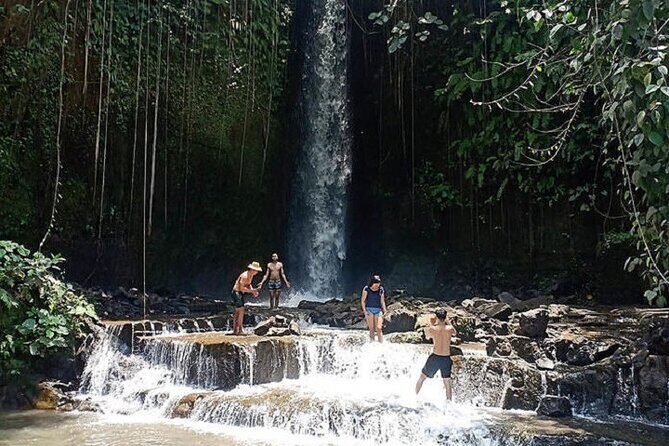 Private Tour to Sumampan Waterfall, Monkey forest, Rice terraces and Swing - Ubud Traditional Art Market: souvenir time without the scramble