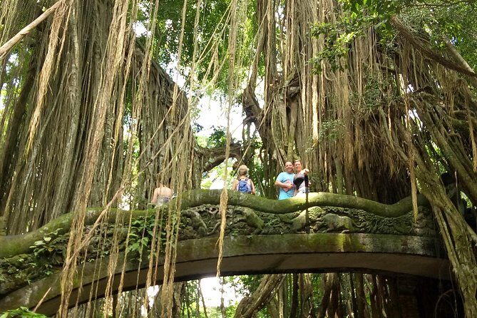 Private Tour to Sumampan Waterfall, Monkey forest, Rice terraces and Swing - Sumampan Waterfall: quiet power near Ubud