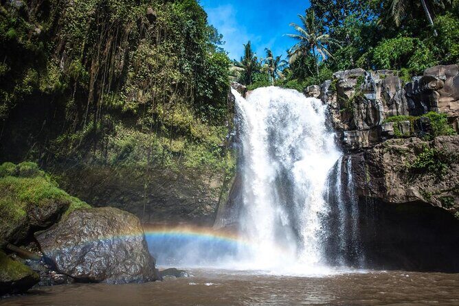 Private Tour To Tibumana Waterfall, rice terraces & Jungle Swing - Key things I’d plan around