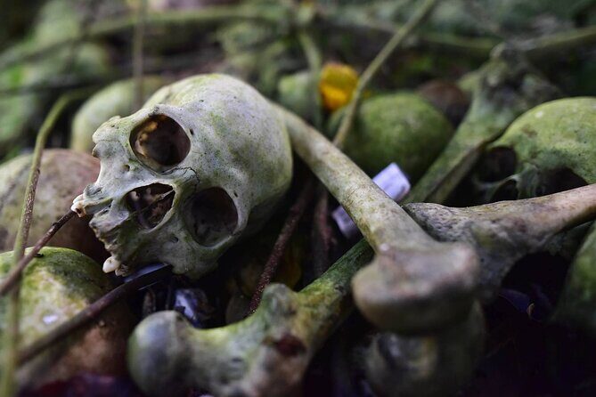 Private Tour to Trunyan Village "Skull Island of Bali" - Trunyan Cemetery: why Skull Island is so memorable