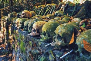 Private Tour to Trunyan Village "Skull Island of Bali" - Stop 1: Trunyan Cemetery—what you’ll see and how to handle the moment