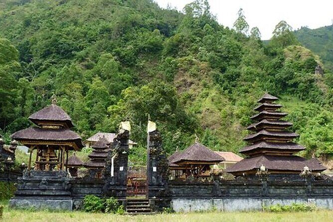 Private Tour to Trunyan Village "Skull Island of Bali" - Stop 3: Kumulilir coffee and the Coffee Luwak option