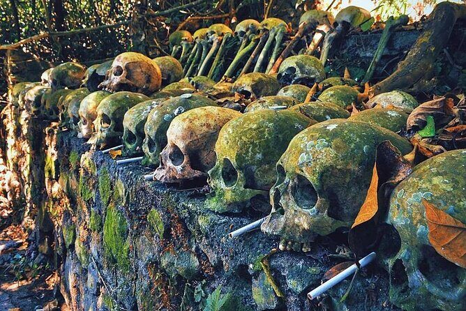 Private Tour to Trunyan Village "Skull Island of Bali" - Stop 1: Trunyan Cemetery—what you’ll see and how to handle the moment