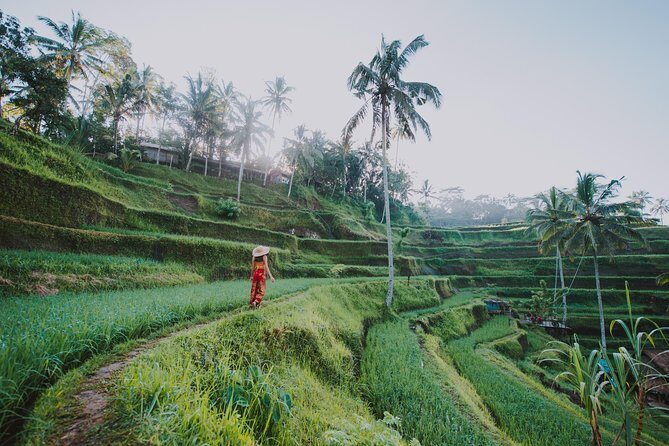 Private Tour: Ubud Highlights - Stop 3: Ubud Palace for Balinese Architecture and Possible Ceremony Time