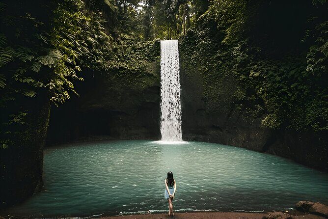 Private Ubud Instagrammable Tour - All Inclusive - Price and What’s Actually Included (Plus the Entrance-Fee Catch)