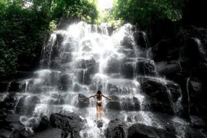 Private Ubud Instagrammable Tour - All Inclusive - Hotel Pickup, Driver Punctuality, and How the Day Flows