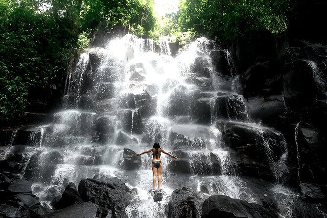 Private Ubud Instagrammable Tour - All Inclusive - Hotel Pickup, Driver Punctuality, and How the Day Flows