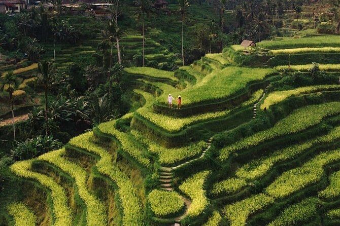 Private Ubud Tour - How this private Ubud route saves your day