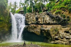 Private Ubud Tour: Monkey Forest, Waterfall & Rice Terrace - Monkey Forest at the Sacred Monkey Forest Sanctuary: what to expect and how to stay safe