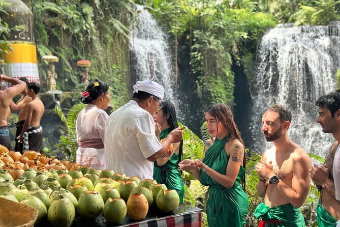 Purification Ceremony, Kehen Temple and Goa Raja Waterfall Tour - Private car, English-speaking guide, and the included comfort you’ll notice
