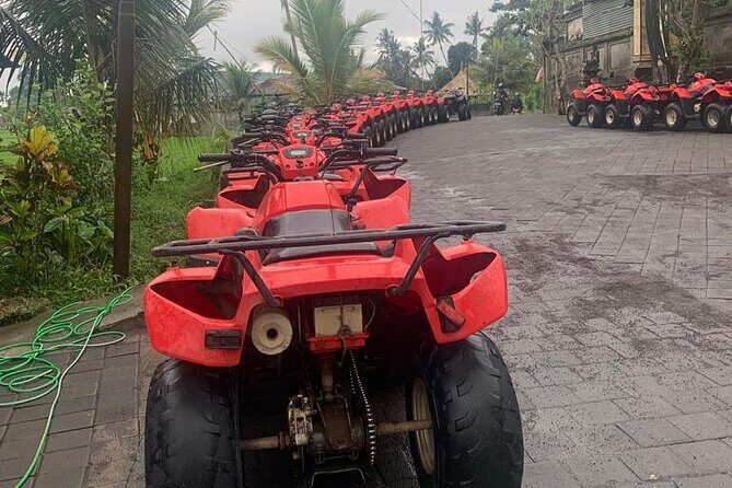 Quadbike Adventure with Tunnel and Waterfall Tour in Bali - Price and Value: Why $34.53 Can Be a Good Deal (If You Use What’s Included)