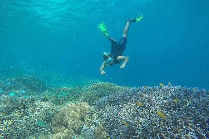 Sharing Snorkeling Trip Gili islands Depart Lombok/Gili Trawangan - What You’re Really Buying for $20