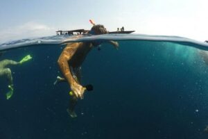 Sharing Snorkeling Trip Gili islands Depart Lombok/Gili Trawangan - Meeting at Ombak Bar and What the Half-Day Rhythm Feels Like