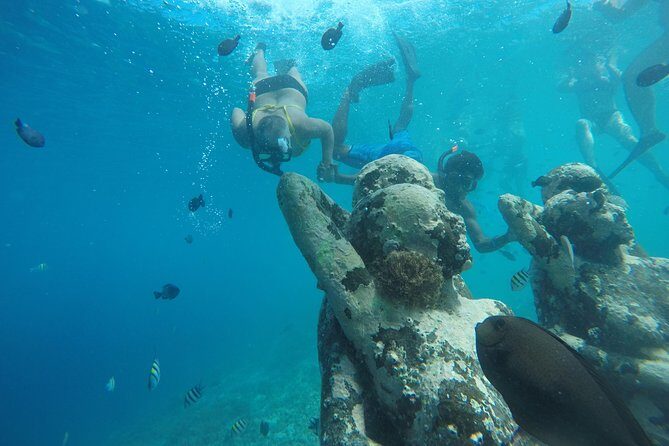 Sharing Snorkeling Trip Gili islands Depart Lombok/Gili Trawangan - Turtle Time at Gili Meno: What to Expect and How to Stay Respectful