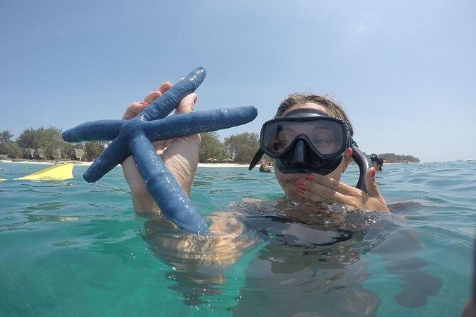 Sharing Snorkeling Trip Gili islands Depart Lombok/Gili Trawangan - Stop 4 at Gili Meno: Statue Ring Point Under the Sea