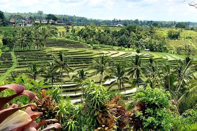 Shore Excursion Cruise Ship from Benoa and Celukan Bawang Port - Budget reality: what $38.51 includes and what you’ll still pay