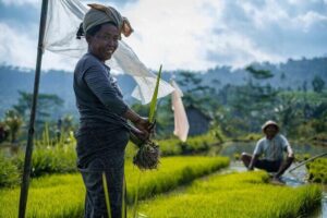 Sidemen Trekking: A Walk from a Different Perspective - Meeting at Pasar Sidemen, and finding Upa Boga