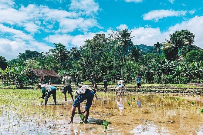 Sidemen Trekking: A Walk from a Different Perspective - Crossing the hanging wooden bridge and passing temple life