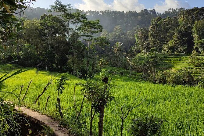 Sidemen Trekking: A Walk from a Different Perspective - Pace and timing: about 2 hours, with realistic walking conditions
